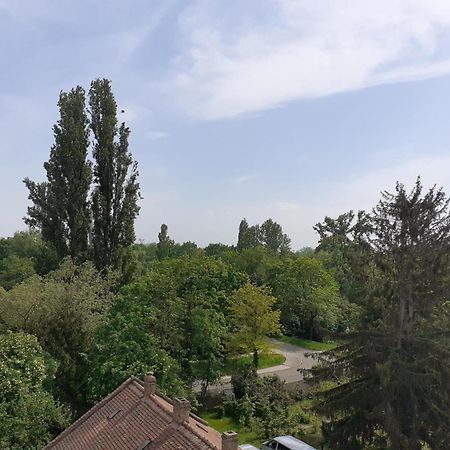 Appartement Sur Les Bords De L'Ill Strasbourg Eksteriør bilde