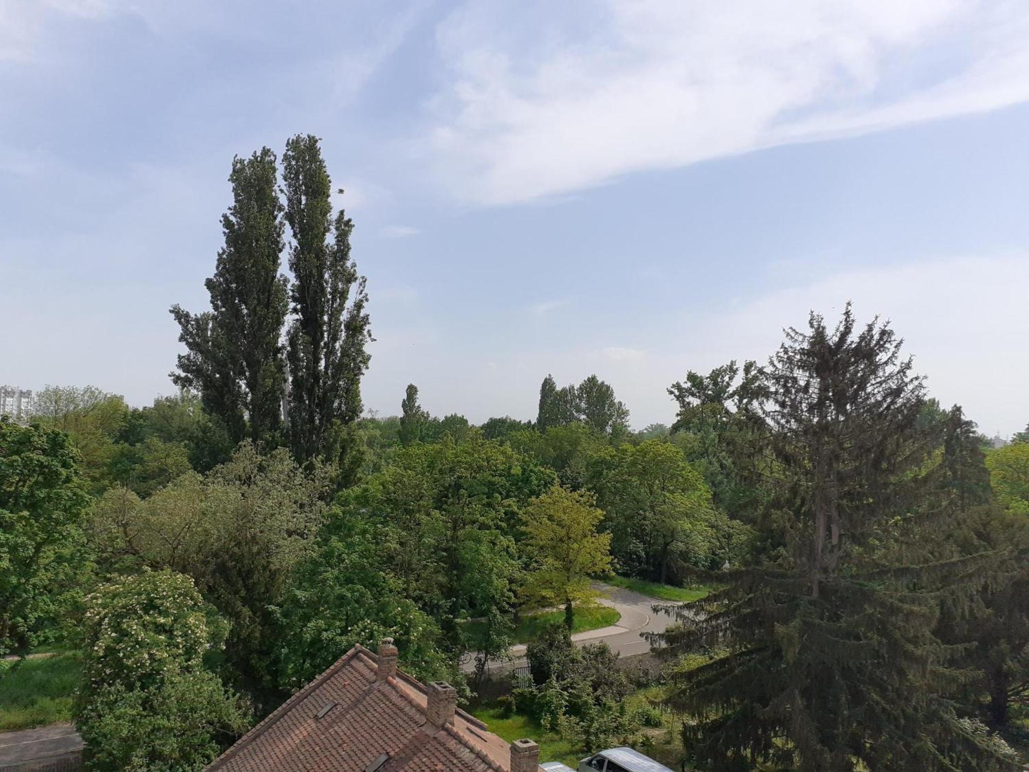 Appartement Sur Les Bords De L'Ill Strasbourg Eksteriør bilde