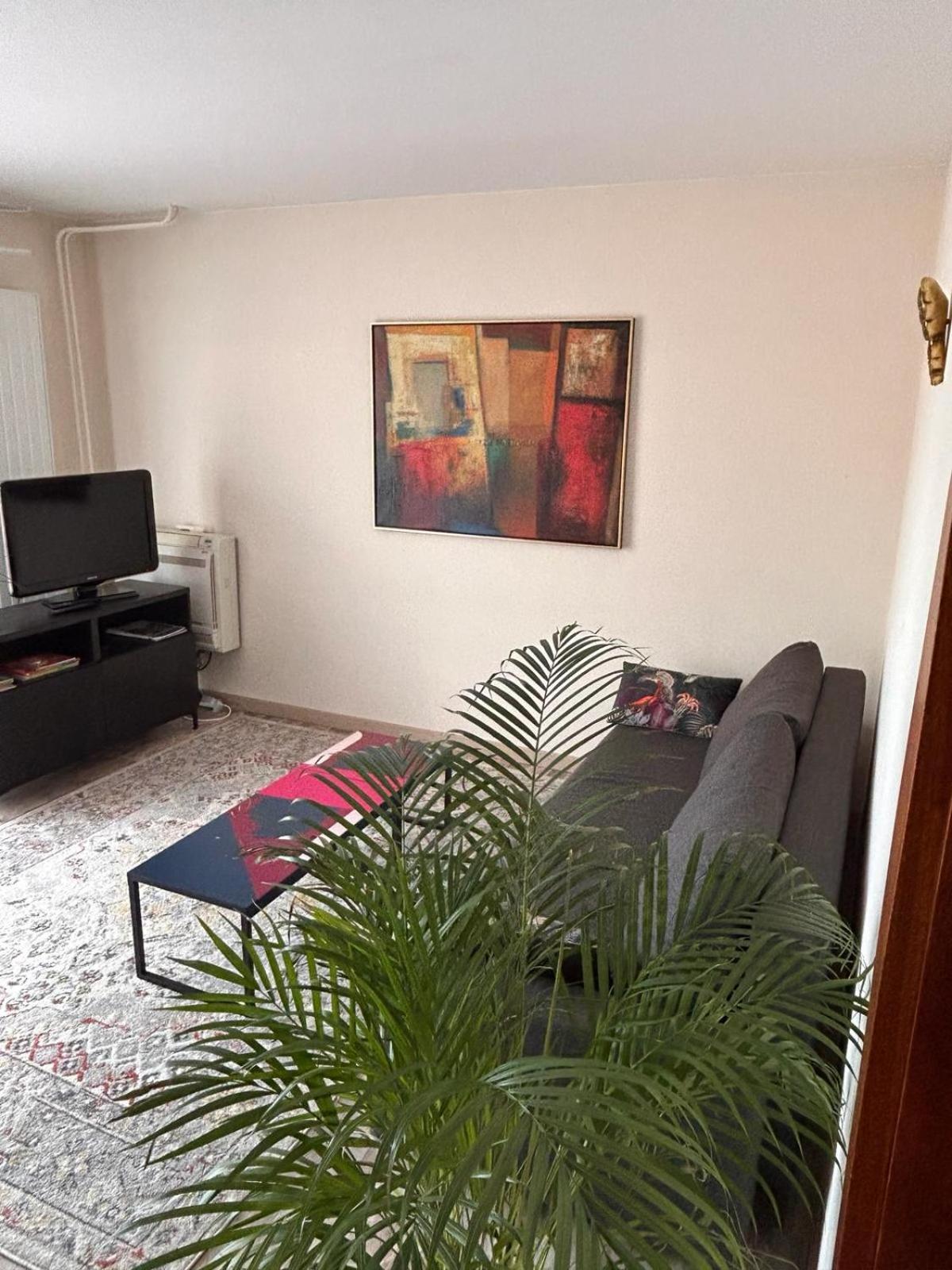 Appartement Sur Les Bords De L'Ill Strasbourg Eksteriør bilde